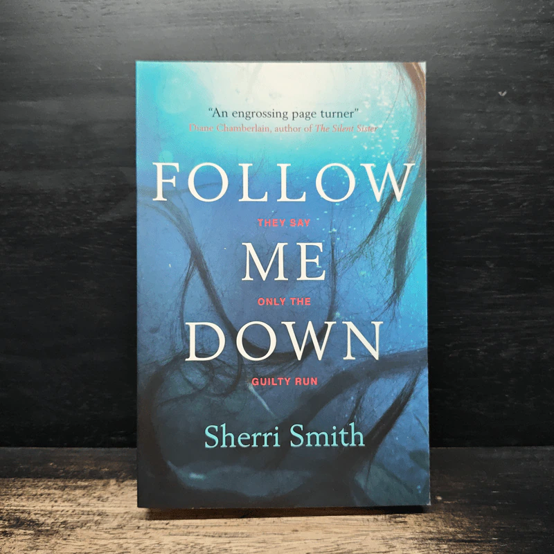 Follow Me Down - Sherri Smith รูปที่ 1