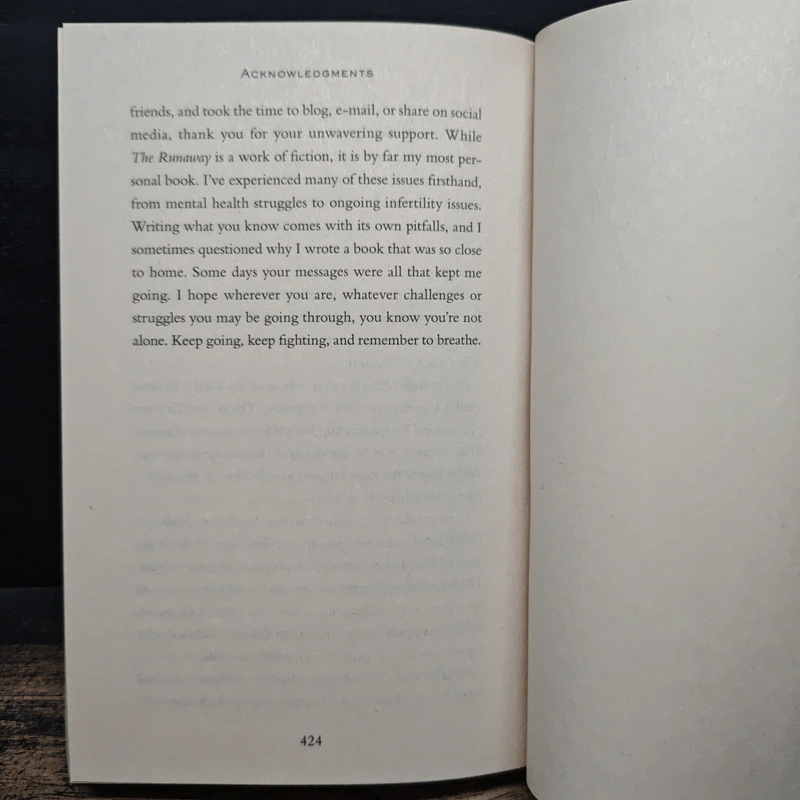 The Runaway - Hollie Overton รูปที่ 8