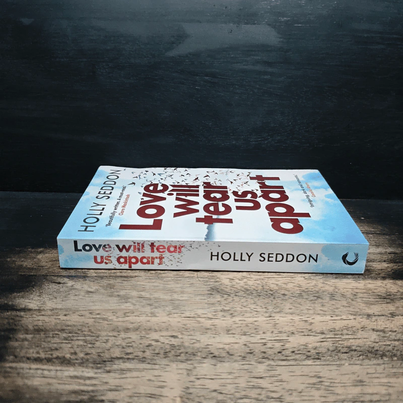 Love Will Tear Us Apart - Holly Seddon รูปที่ 3