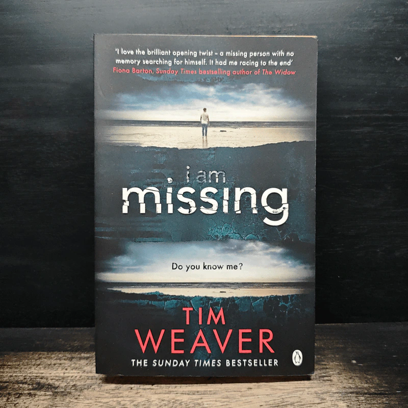 I Am Missing - Tim Weaver รูปที่ 1