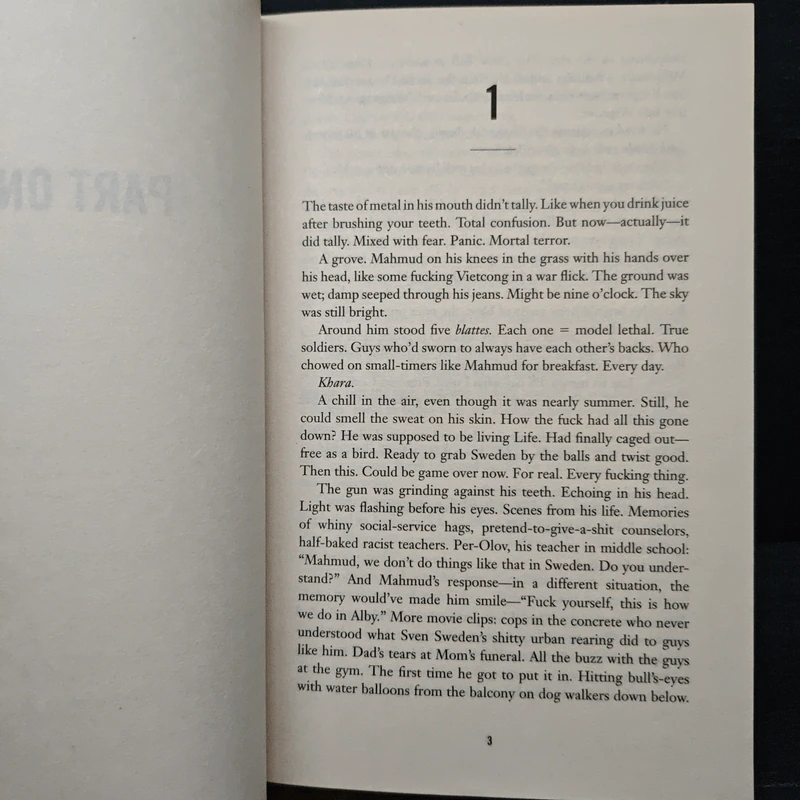 Never Screw Up - Jens Lapidus รูปที่ 7