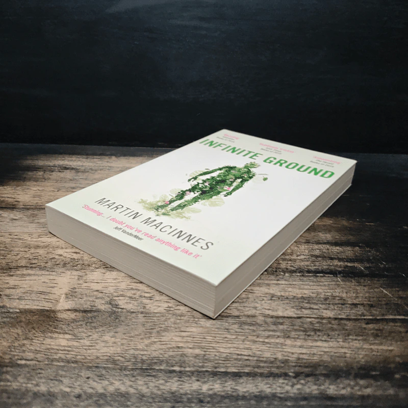 Infinite Ground - Martin MacInnes รูปที่ 4