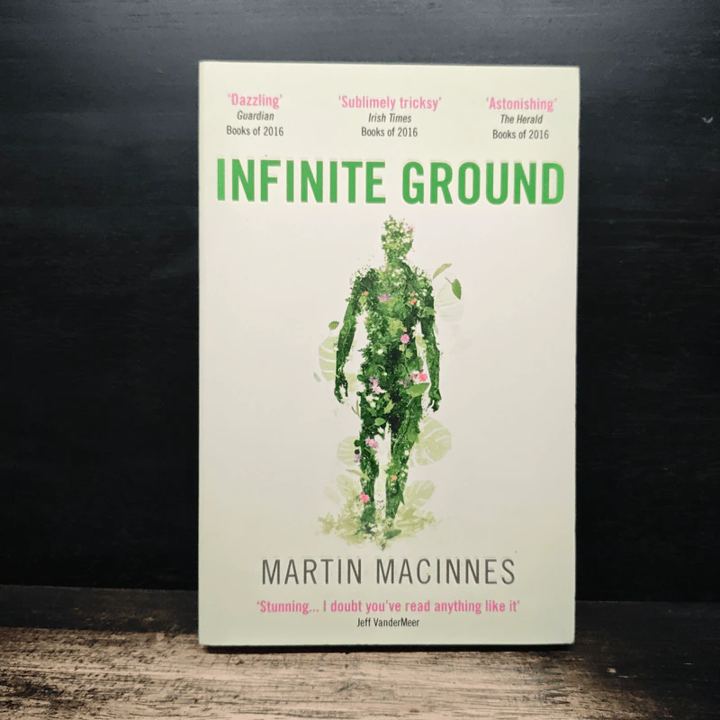 Infinite Ground - Martin MacInnes รูปที่ 1