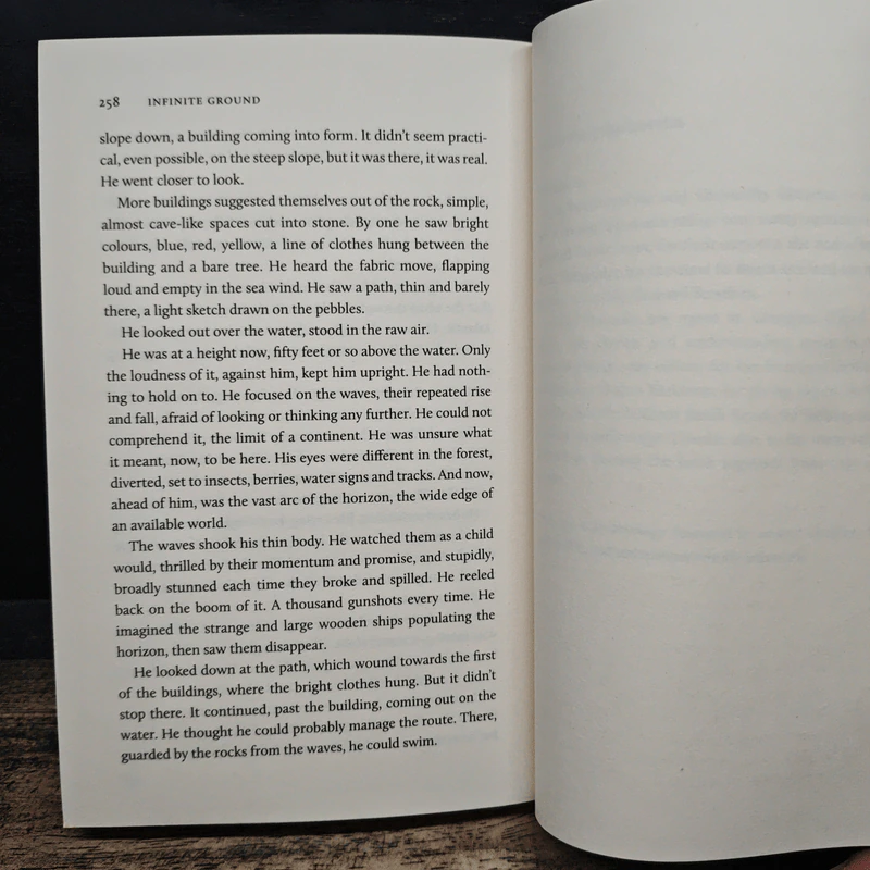 Infinite Ground - Martin MacInnes รูปที่ 8