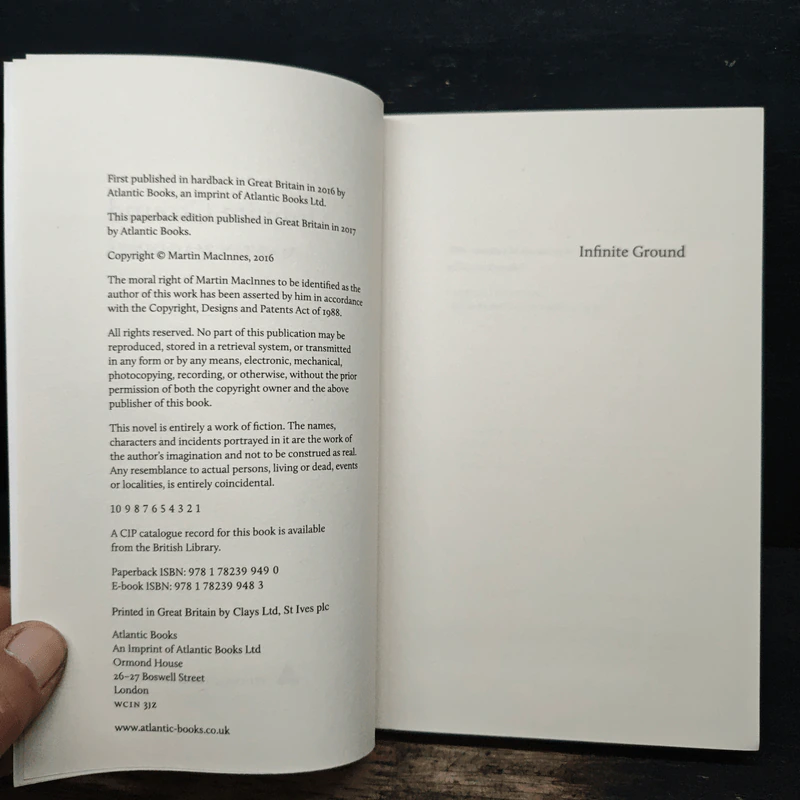 Infinite Ground - Martin MacInnes รูปที่ 6