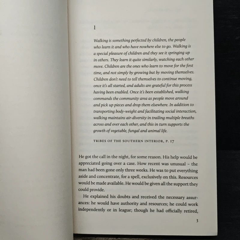 Infinite Ground - Martin MacInnes รูปที่ 7
