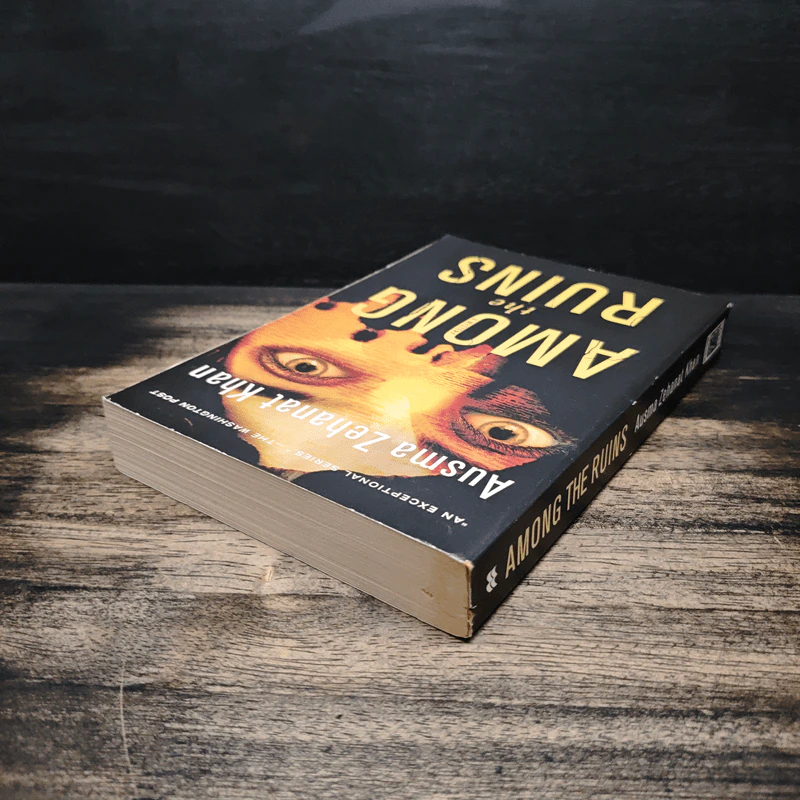 Among the Ruins - Ausma Zehanat Khan รูปที่ 5