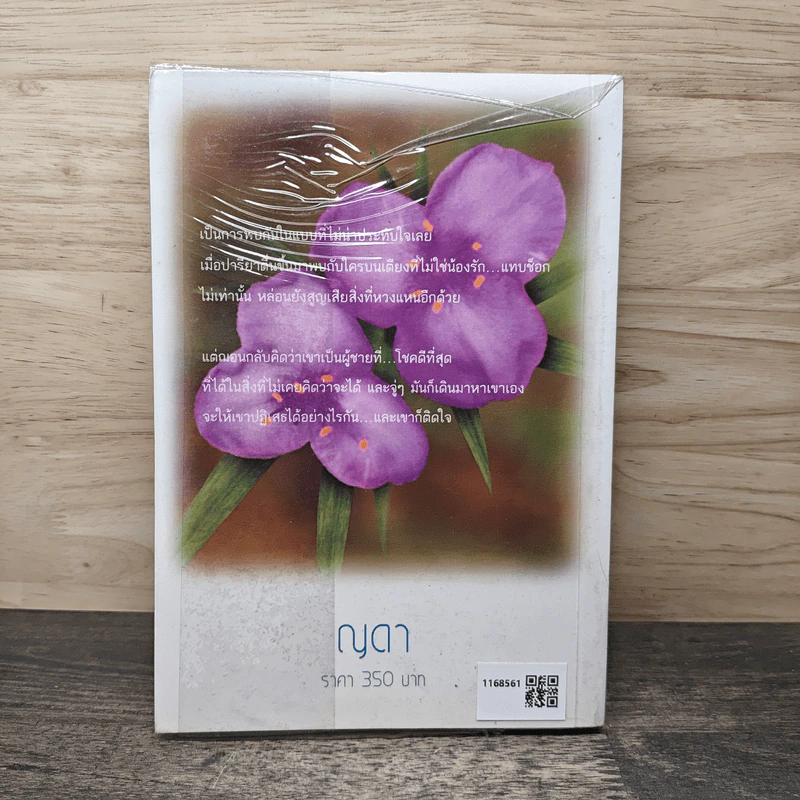 บอสตัน...วันฝันรัก - ญดา รูปที่ 5