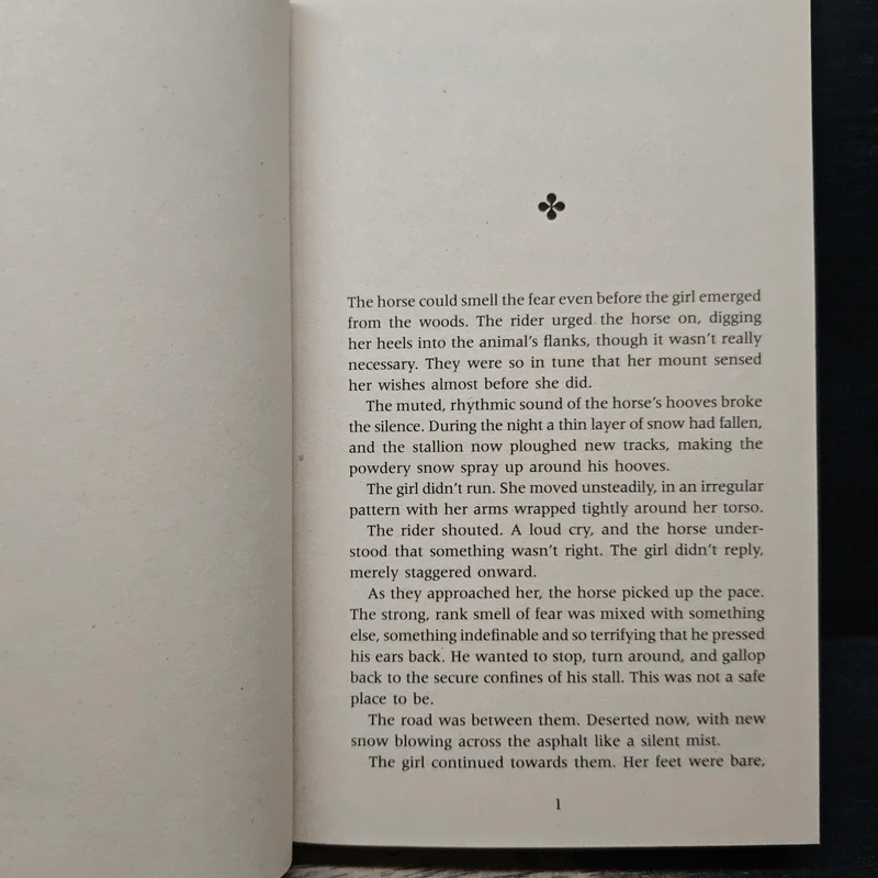 The Ice Child - Camilla Läckberg รูปที่ 7