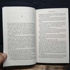 The Secret Place - Tana French รูปที่ 7