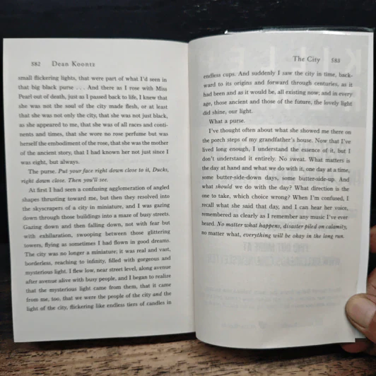The City - Dean Koontz รูปที่ 8