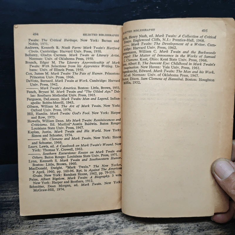 The Innocents Abroad - Mark Twain รูปที่ 12