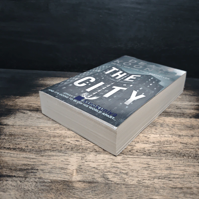 The City - Dean Koontz รูปที่ 4
