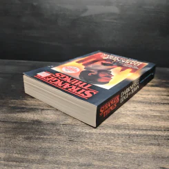 Stranger Things: Darkness on the Edge of Town - Adam Christopher รูปที่ 5