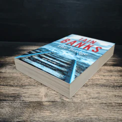 The Bridge - Iain Banks รูปที่ 4