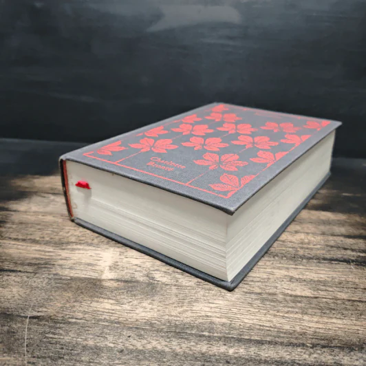 Jane Eyre - Charlotte Brontë รูปที่ 4