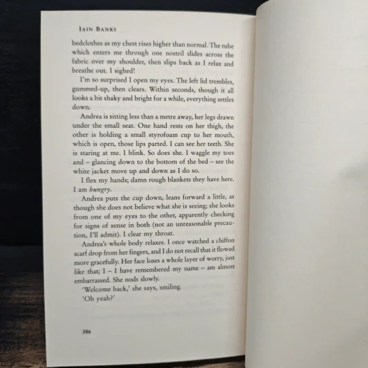 The Bridge - Iain Banks รูปที่ 9