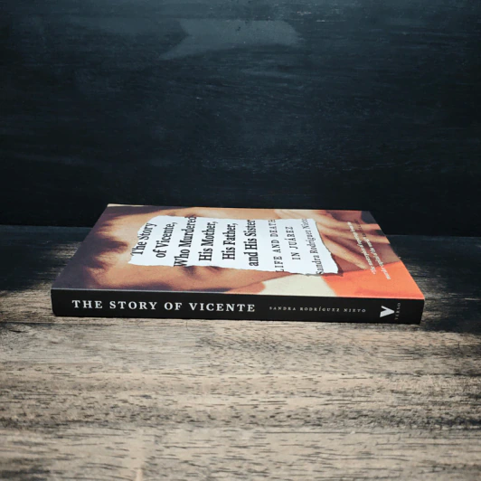 The Story of Vicente - Sandra Rodriguez Nieto รูปที่ 3