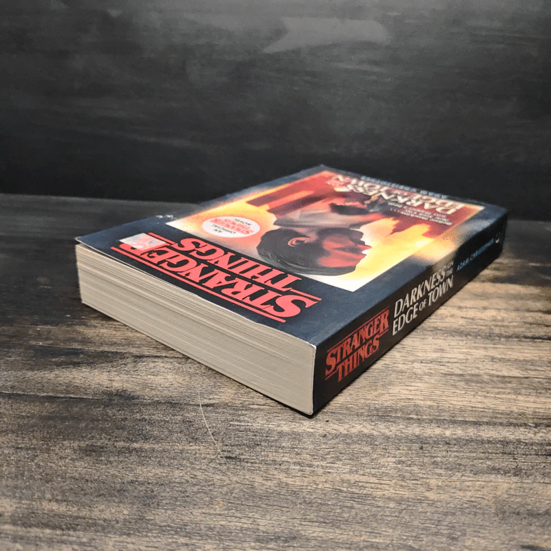 Stranger Things: Darkness on the Edge of Town - Adam Christopher รูปที่ 5