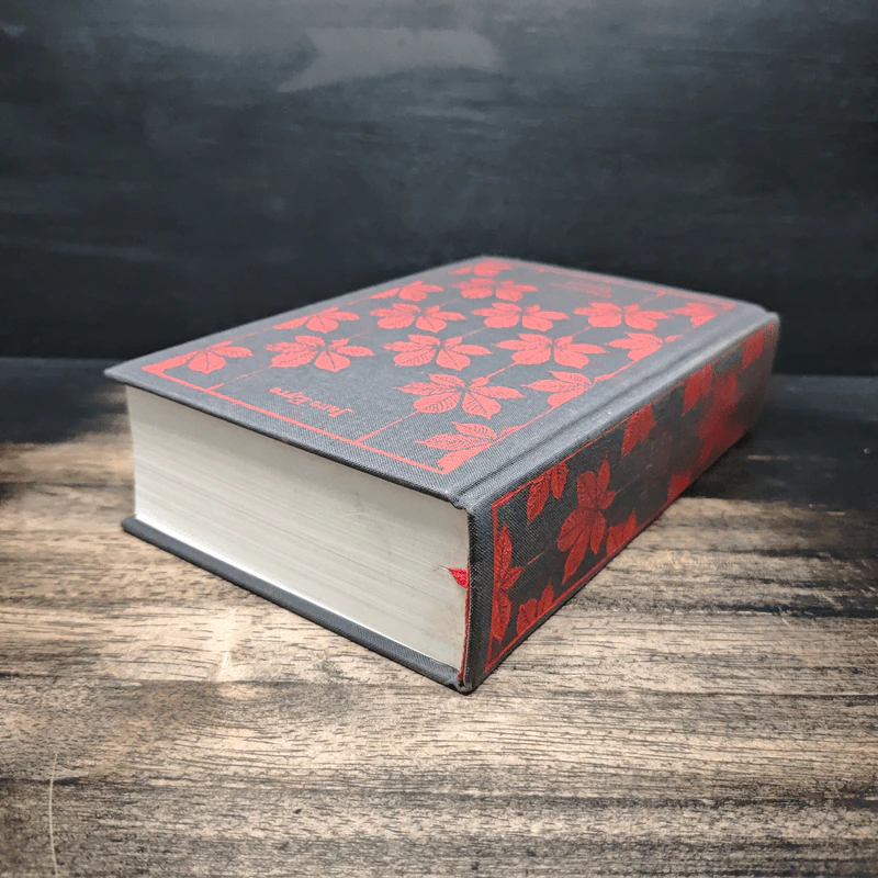 Jane Eyre - Charlotte Brontë รูปที่ 5