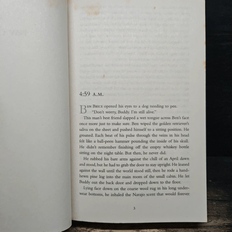 The Abduction - Mark Gimenez รูปที่ 7