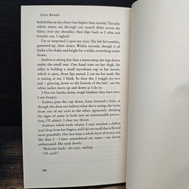 The Bridge - Iain Banks รูปที่ 9