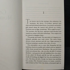 Gray Mountain - John Grisham รูปที่ 7