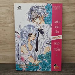 เพราะเธอคือปาฏิหาริย์ของหัวใจ เล่ม 1 - Snowman with a cap, เฟ่ยหลาน