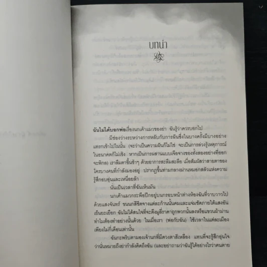 นางฟ้านักล่า - ลิลลี เซนต์ โครว รูปที่ 8