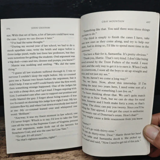 Gray Mountain - John Grisham รูปที่ 8