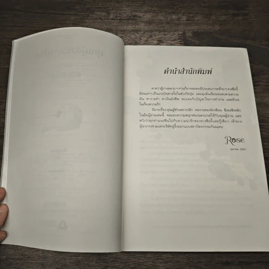 คุณผู้ช่วยสถาปนิก เล่ม 1 - ซีเหอชิงหลิง รูปที่ 7