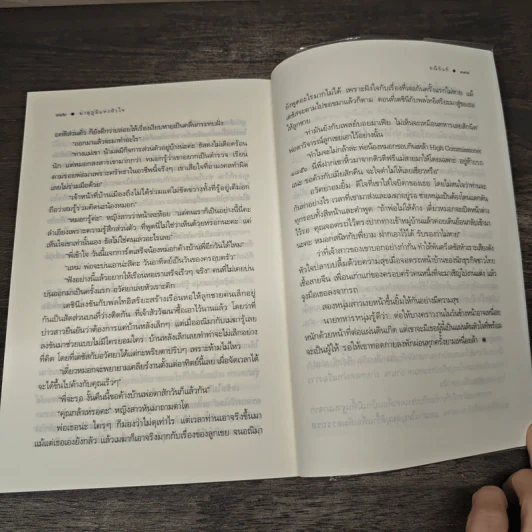 มาตุภูมิแห่งหัวใจ - มณีจันท์ รูปที่ 8