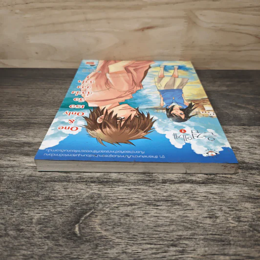 One & Only เธอคือที่หนึ่งของหัวใจ เล่ม 1 - Lim Eun Hee, โบ ยัมจอน รูปที่ 4