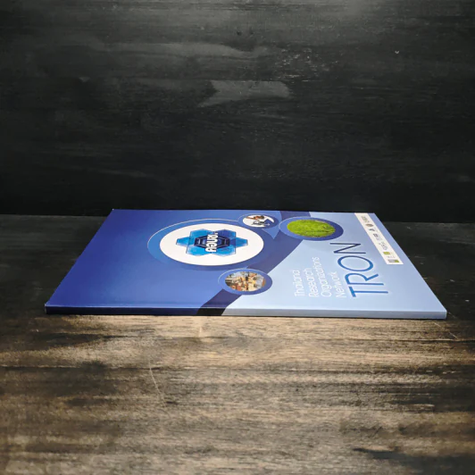 Thailand Research Organizations Network TRON รูปที่ 3