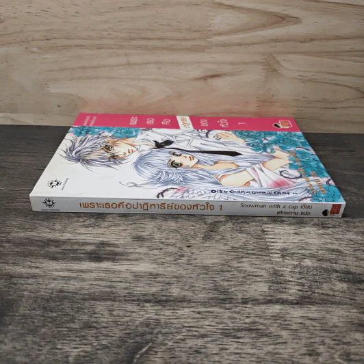 เพราะเธอคือปาฏิหาริย์ของหัวใจ เล่ม 1 - Snowman with a cap, เฟ่ยหลาน รูปที่ 2