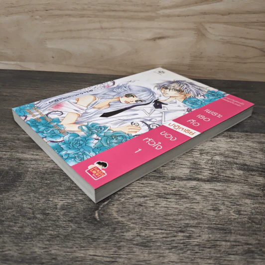 เพราะเธอคือปาฏิหาริย์ของหัวใจ เล่ม 1 - Snowman with a cap, เฟ่ยหลาน รูปที่ 3