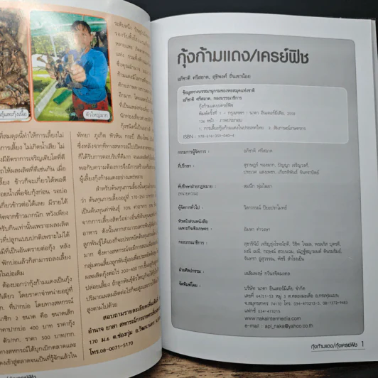 กุ้งก้ามแดง/เครย์ฟิช - อภิชาติ ศรีสอาด รูปที่ 6