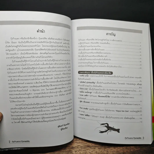 กุ้งก้ามแดง/เครย์ฟิช - อภิชาติ ศรีสอาด รูปที่ 7