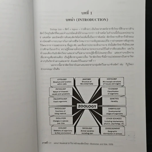 สัตววิทยา Zoology - รศ.บพิธ จารุพันธุ์, รศ.นันทพร จารุพันธุ์ รูปที่ 14