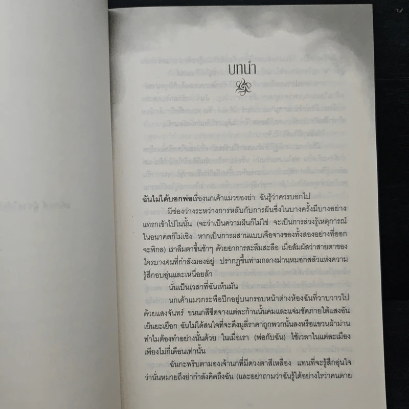 นางฟ้านักล่า - ลิลลี เซนต์ โครว รูปที่ 8