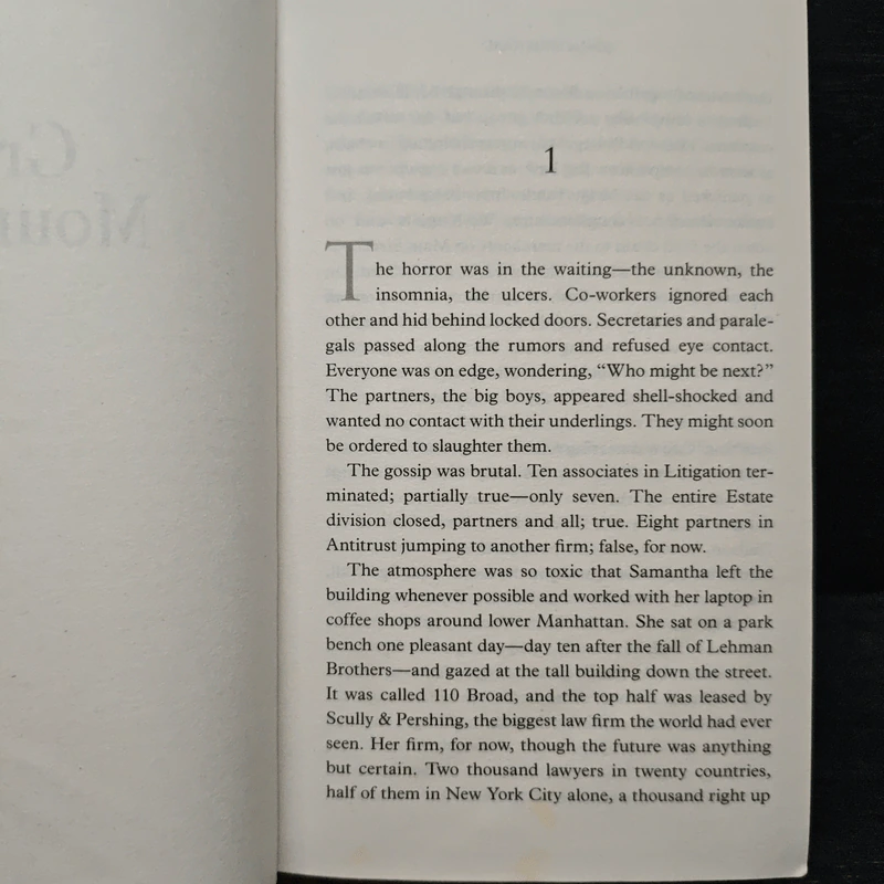 Gray Mountain - John Grisham รูปที่ 7