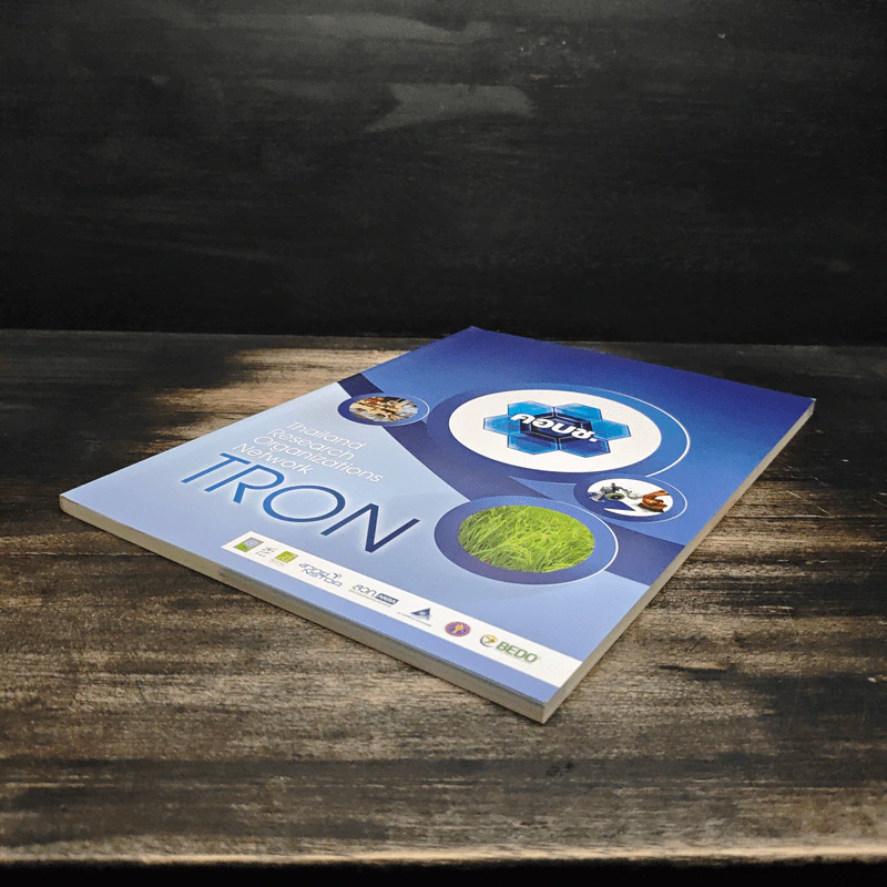Thailand Research Organizations Network TRON รูปที่ 4