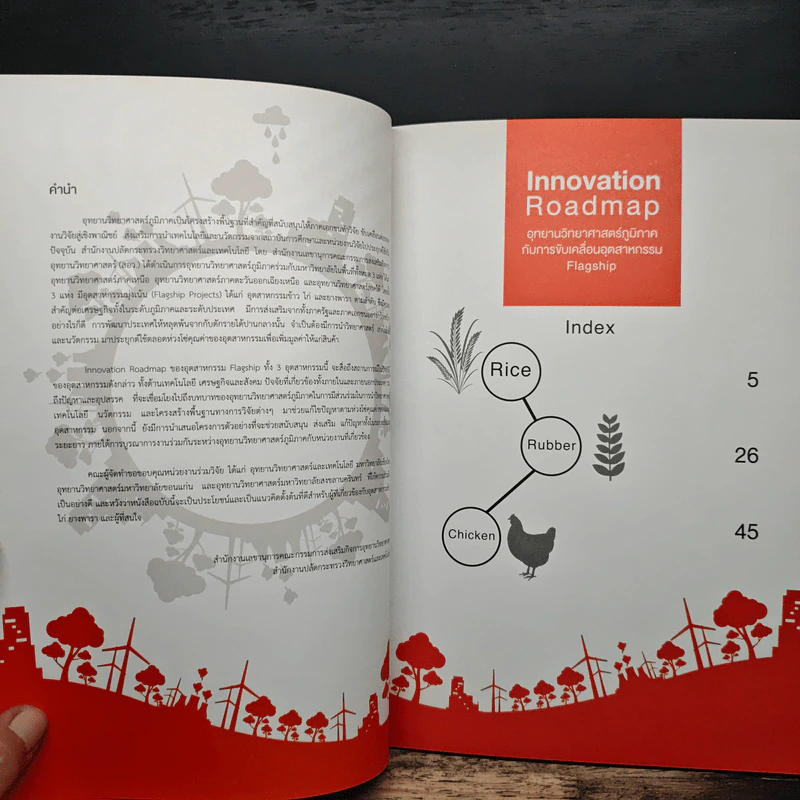 Innovation Roadmap อุทยานวิทยาศาสตร์ภูมิภาค กับการขับเคลื่อนอุตสาหกรรม Flagship รูปที่ 6