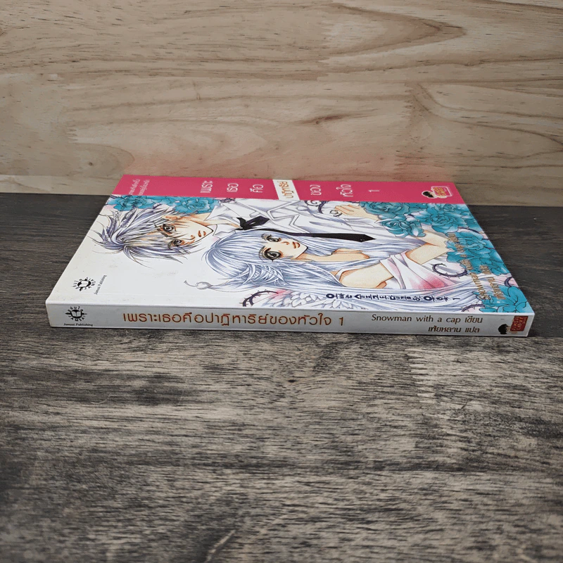 เพราะเธอคือปาฏิหาริย์ของหัวใจ เล่ม 1 - Snowman with a cap, เฟ่ยหลาน รูปที่ 2