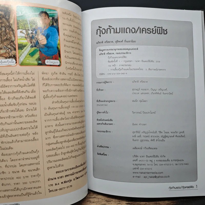 กุ้งก้ามแดง/เครย์ฟิช - อภิชาติ ศรีสอาด รูปที่ 6