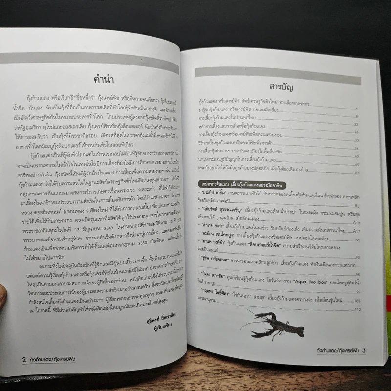 กุ้งก้ามแดง/เครย์ฟิช - อภิชาติ ศรีสอาด รูปที่ 7