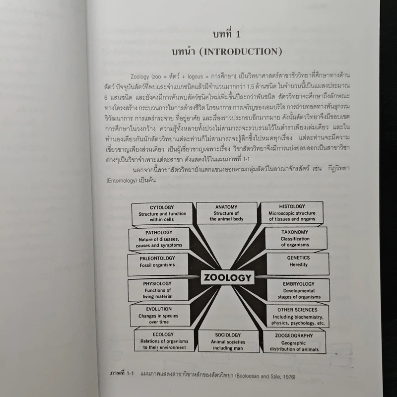 สัตววิทยา Zoology - รศ.บพิธ จารุพันธุ์, รศ.นันทพร จารุพันธุ์ รูปที่ 14