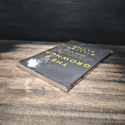 The Grownup - Gillian Flynn รูปที่ 5