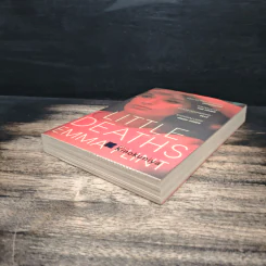 Little Deaths - Emma Flint รูปที่ 4
