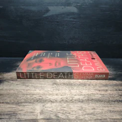 Little Deaths - Emma Flint รูปที่ 3